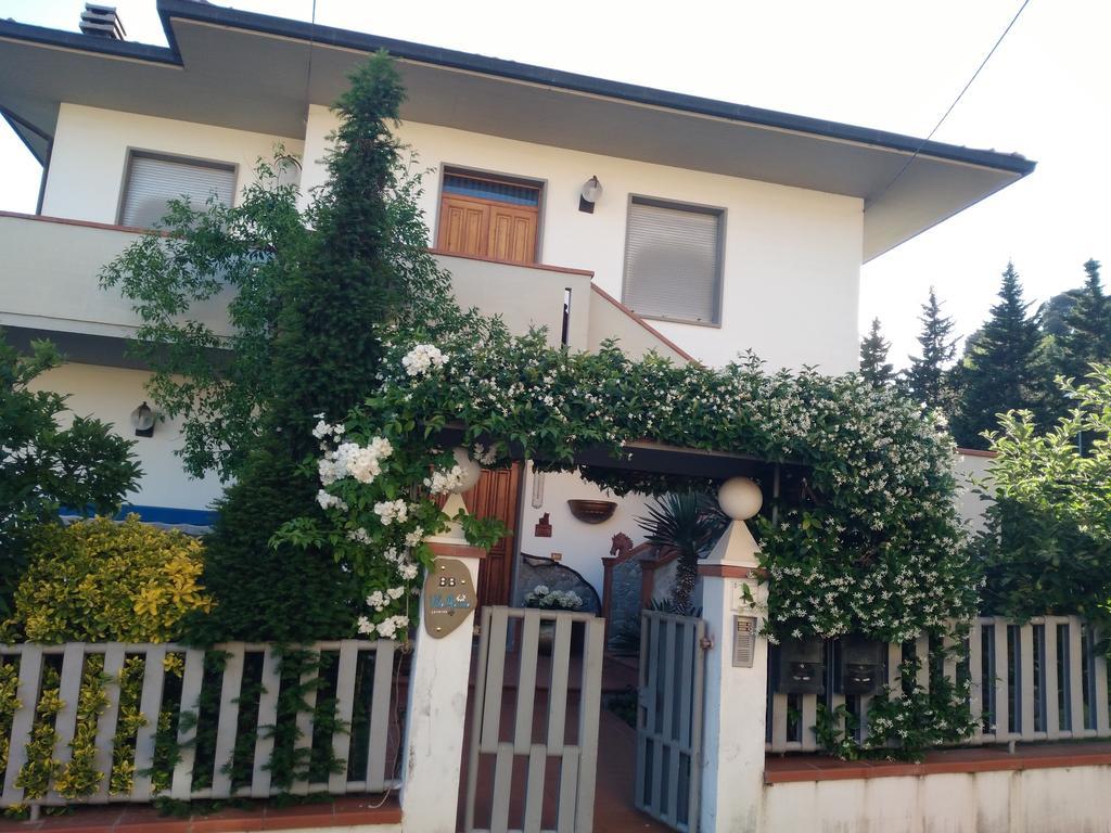 Villa Marina Laterina Dış mekan fotoğraf